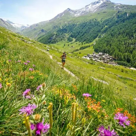 Blanc Neige 2 - Centre De *