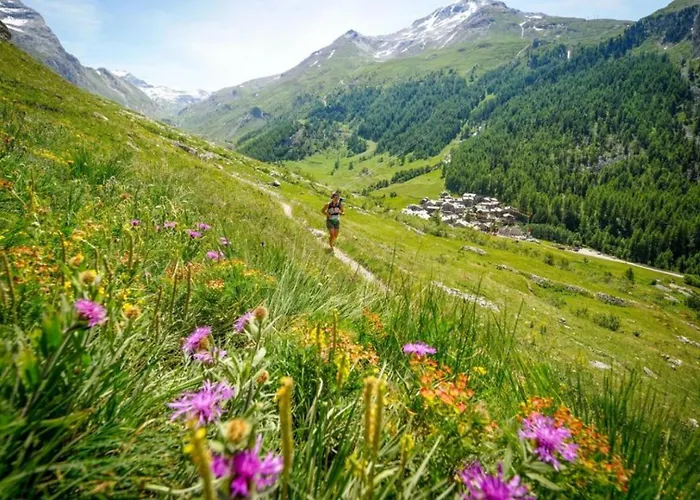 Blanc Neige 2 - Centre De *